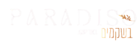 לוגו פרויקט Real